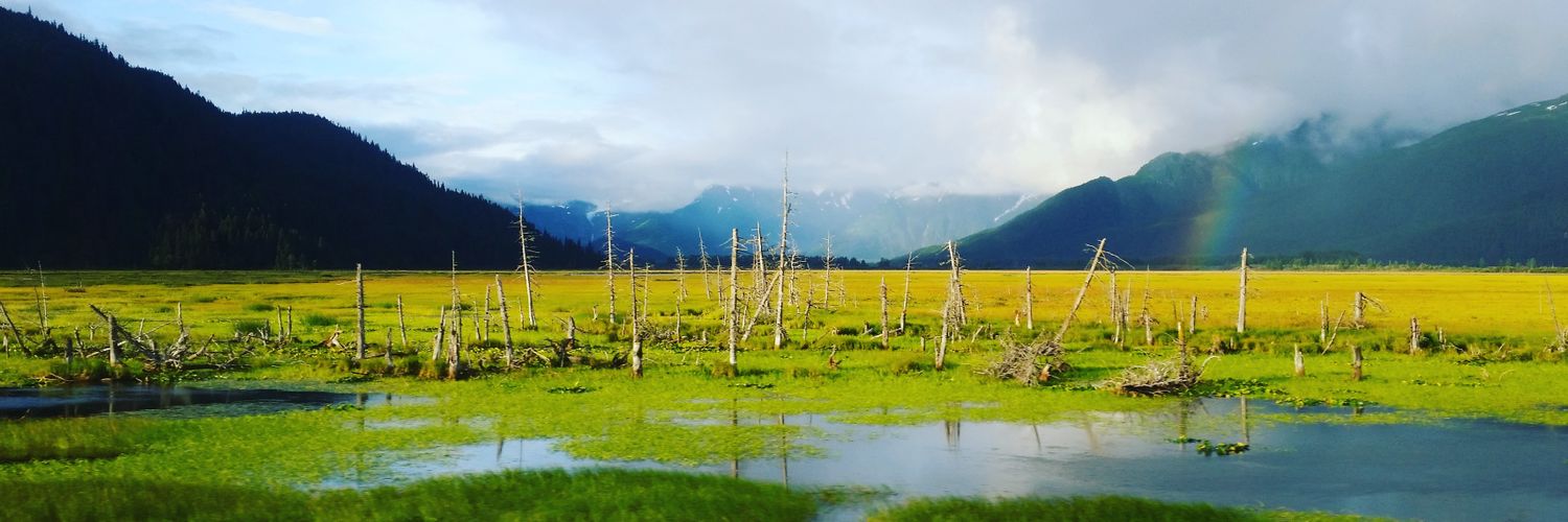 Kate Belohlav banner