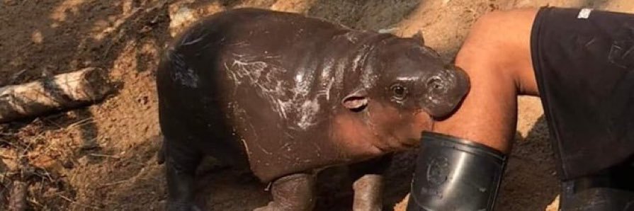 Ben Richardson banner