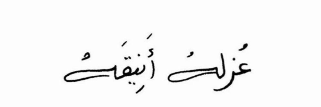 محمد القحطاني banner