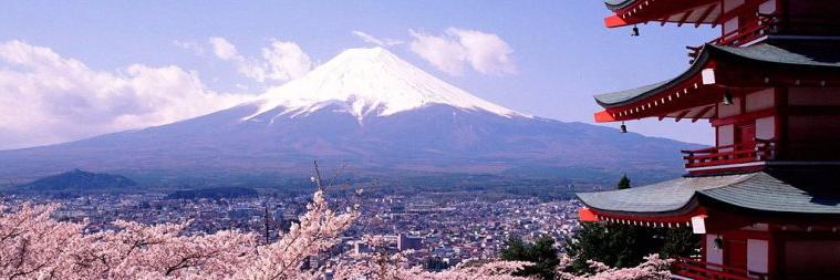 Nicolas Tricot banner