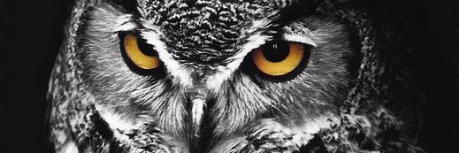 KKVA_'s profile banner image