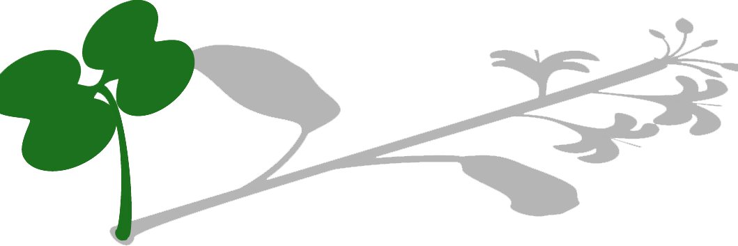 Wisc Fast Plants banner