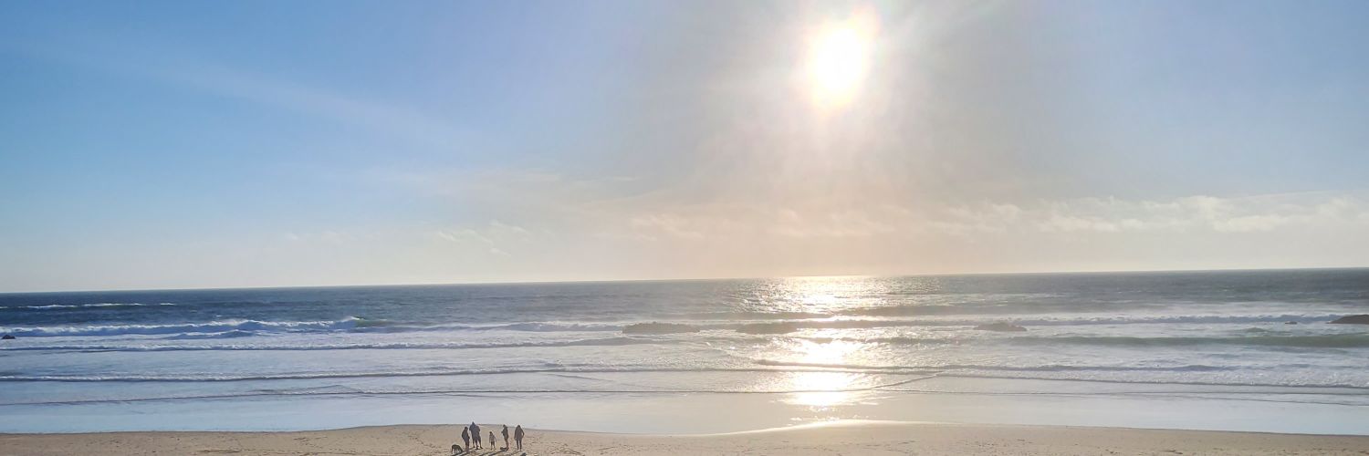 Shauny3566's profile banner image