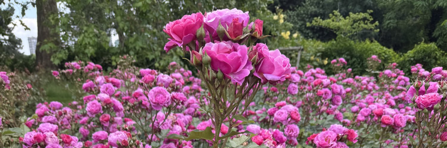 Lisa Cisneros M. Ed. banner