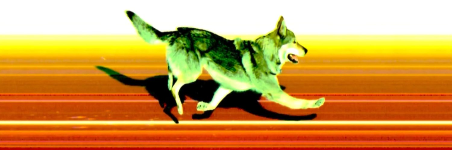 Daisy Chainsaw🌸 banner