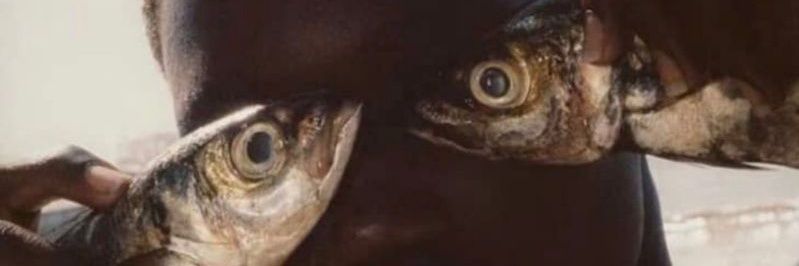 lestinny2's profile banner image