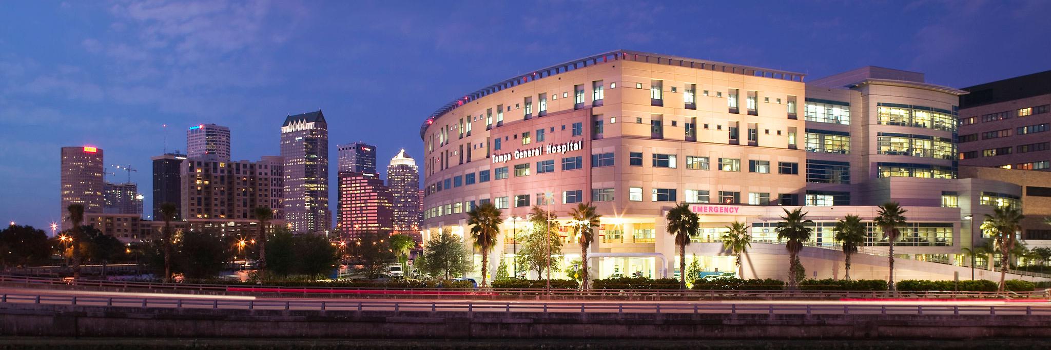 USF EM banner