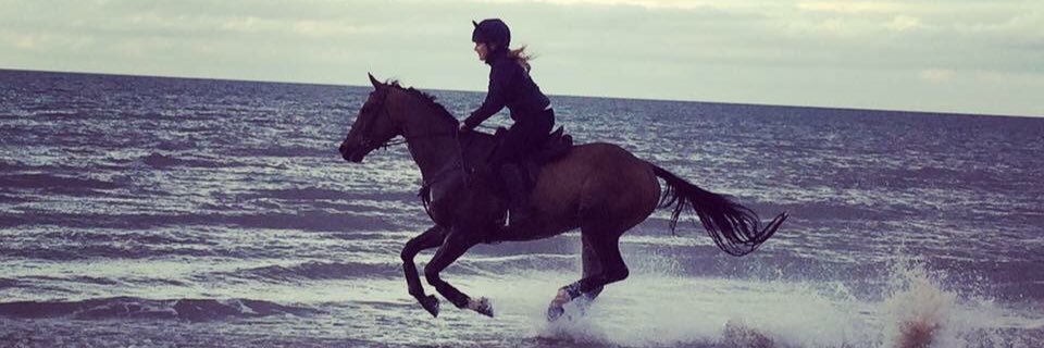 _hannahallgood's profile banner image