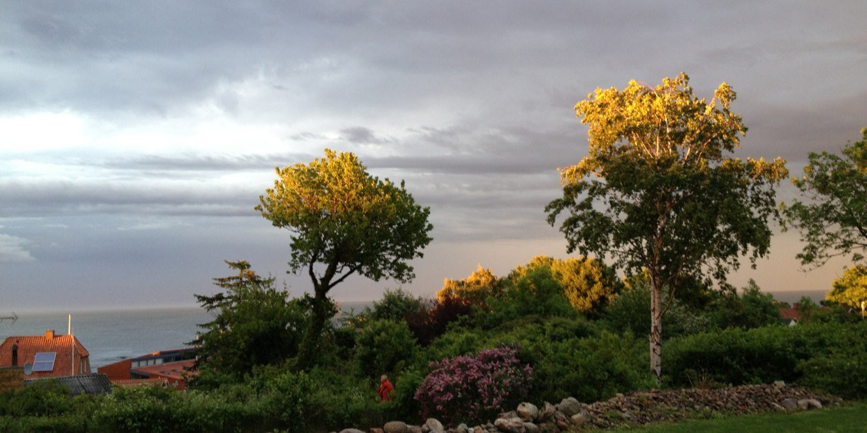 TinaWesth's profile banner image