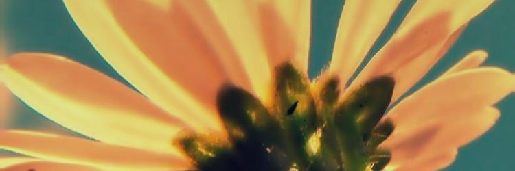 wakeup_SON's profile banner image
