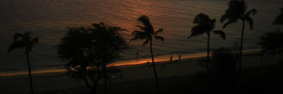 L_Rommes's profile banner image