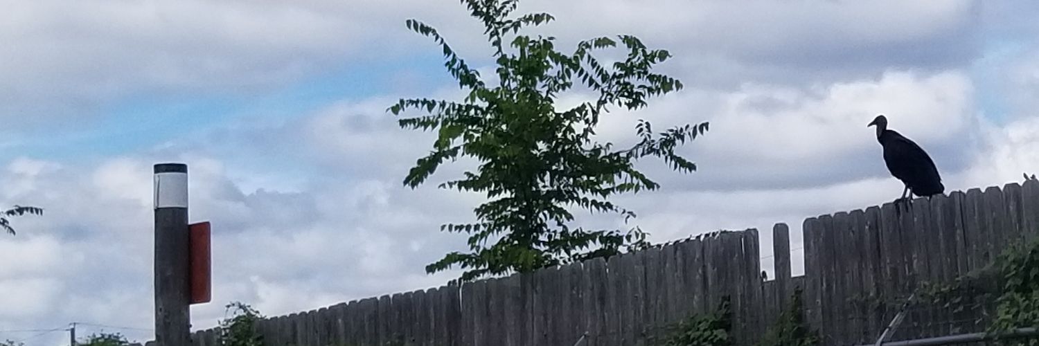 runnain's profile banner image