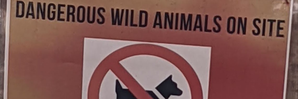 jonbobson's profile banner image