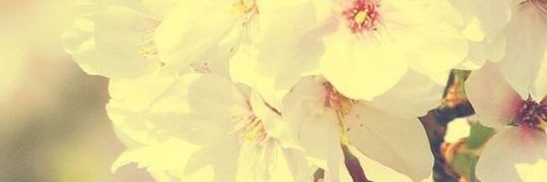 cheeky2271 Profile Banner