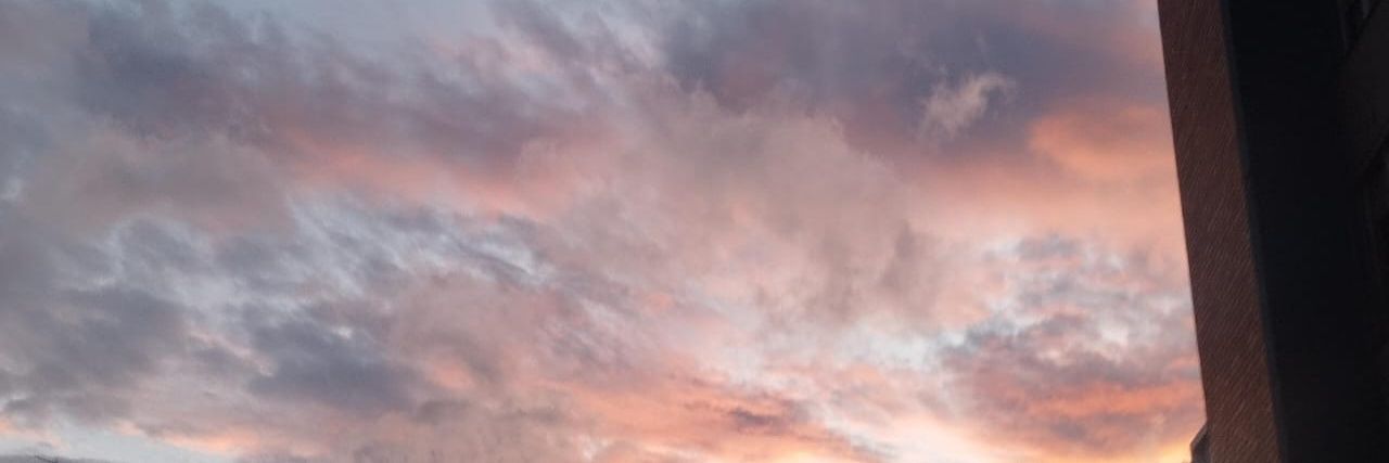 Bellatrix⁷ banner