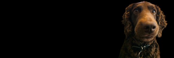 Andy_Wheatley Profile Banner
