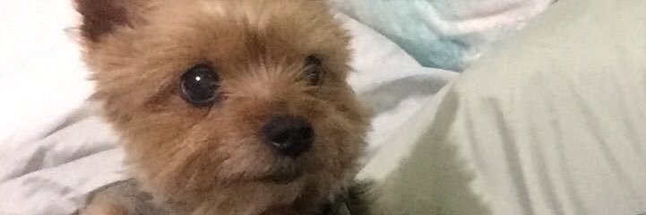 _xElizabethx_'s profile banner image