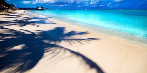 CorneliaPlesner's profile banner image