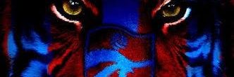 DilaverOmer's profile banner image