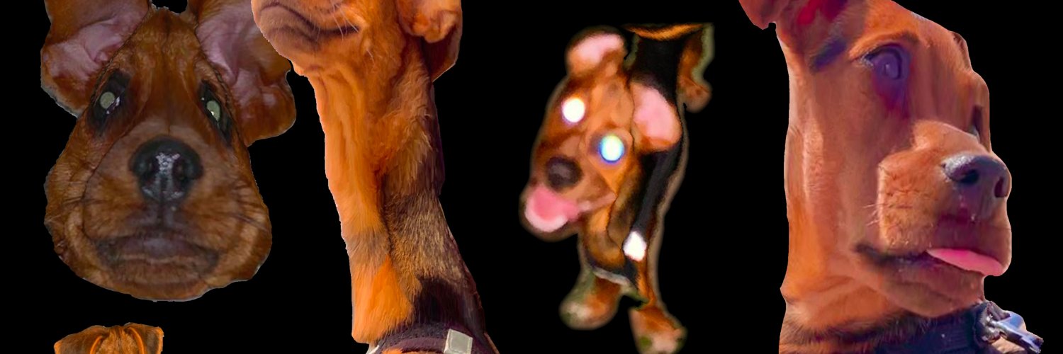 nog banner