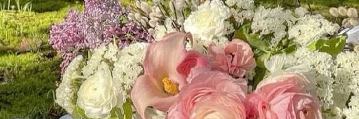 katie banner