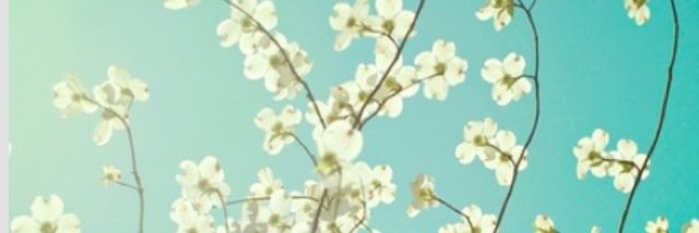 Lizzywilson22's profile banner image