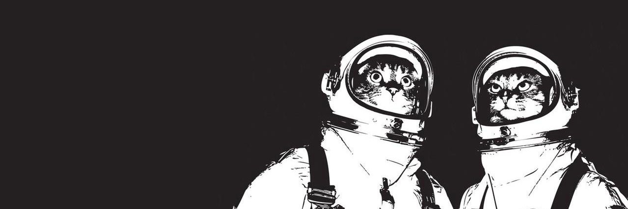 annaobriendvm's profile banner image