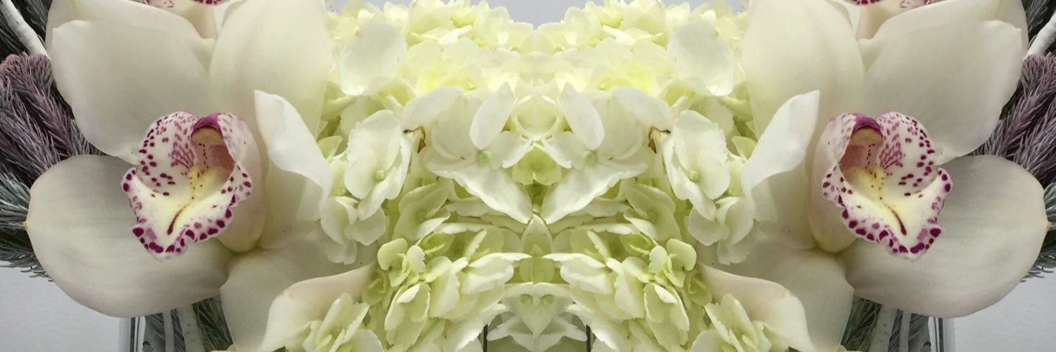 StyleByDevin's profile banner image