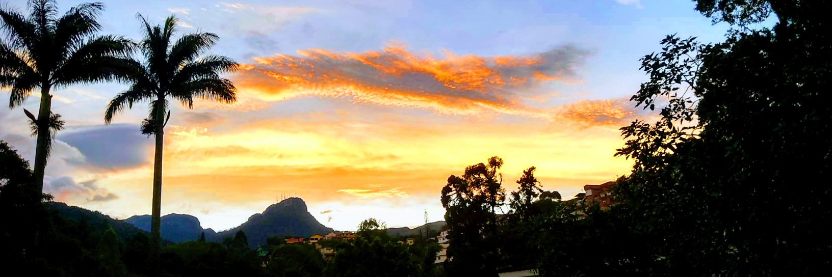 augustacostta's profile banner image