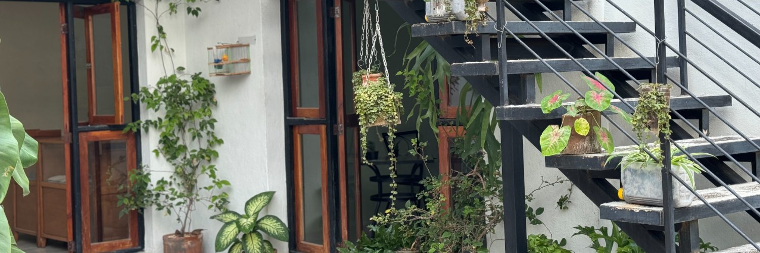 asha ransby-sporn banner