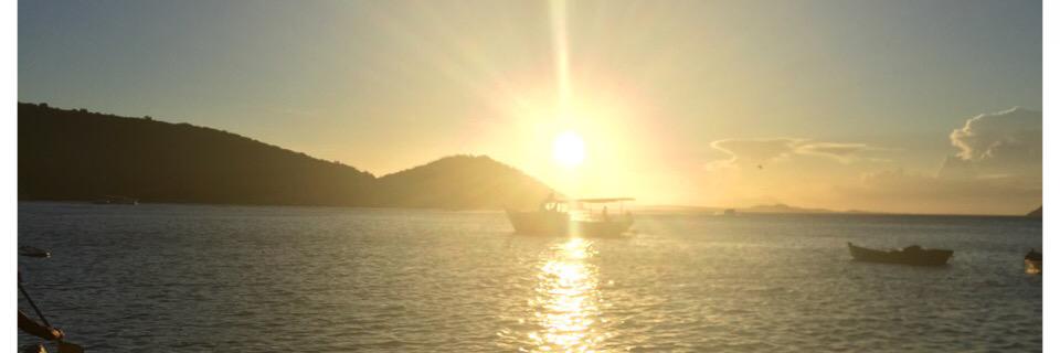 monique miller banner