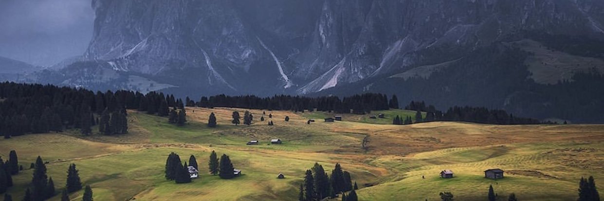 Alejandro Bernard banner