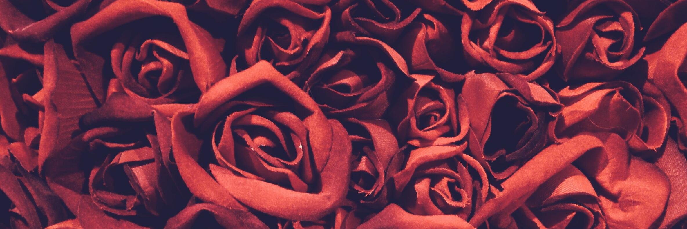 HXLYKXSS's profile banner image