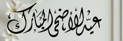 فــرز الســروري نشــط🔥🚀 banner