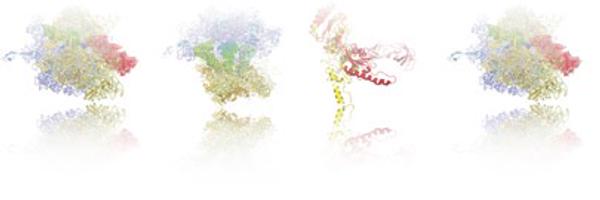 namyolivier Profile Banner