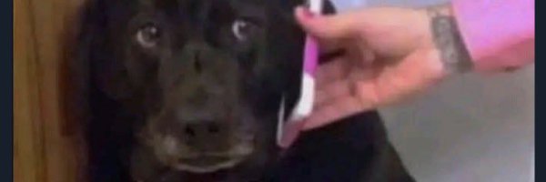 Willyboy7795 Profile Banner