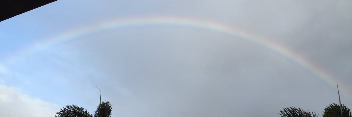 ipaolavp's profile banner image