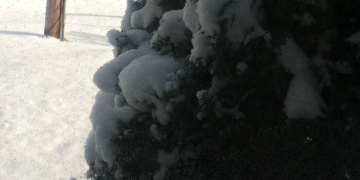 The Blogger Gal banner