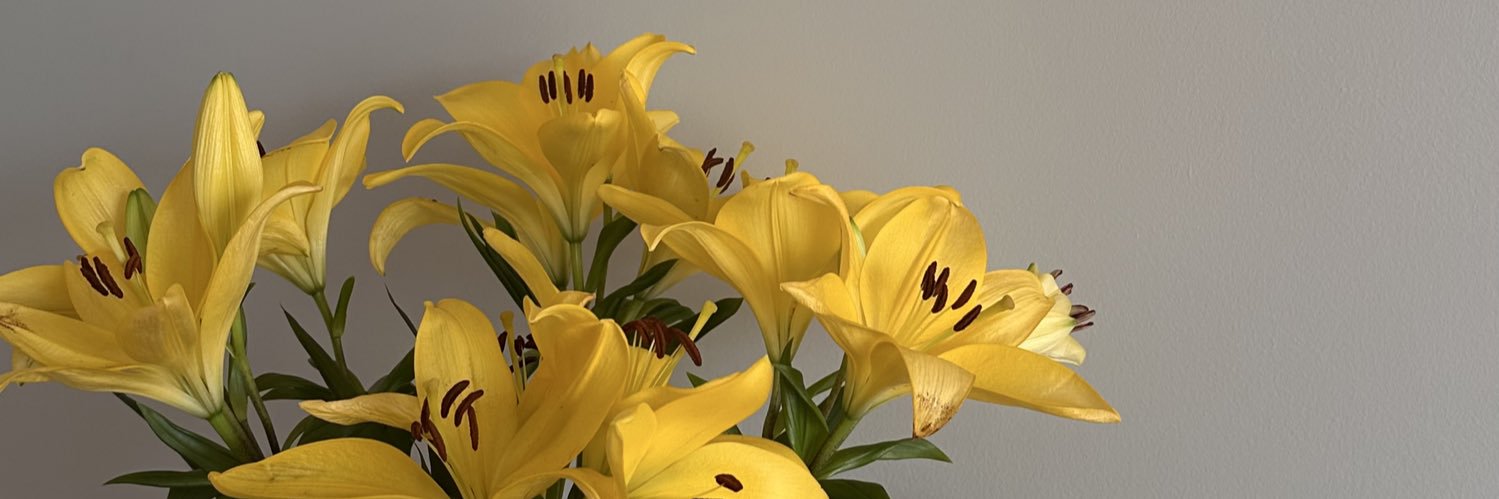 julia banner