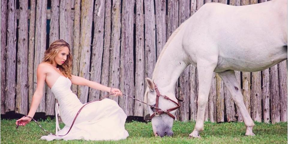 SiProductionsca's profile banner image