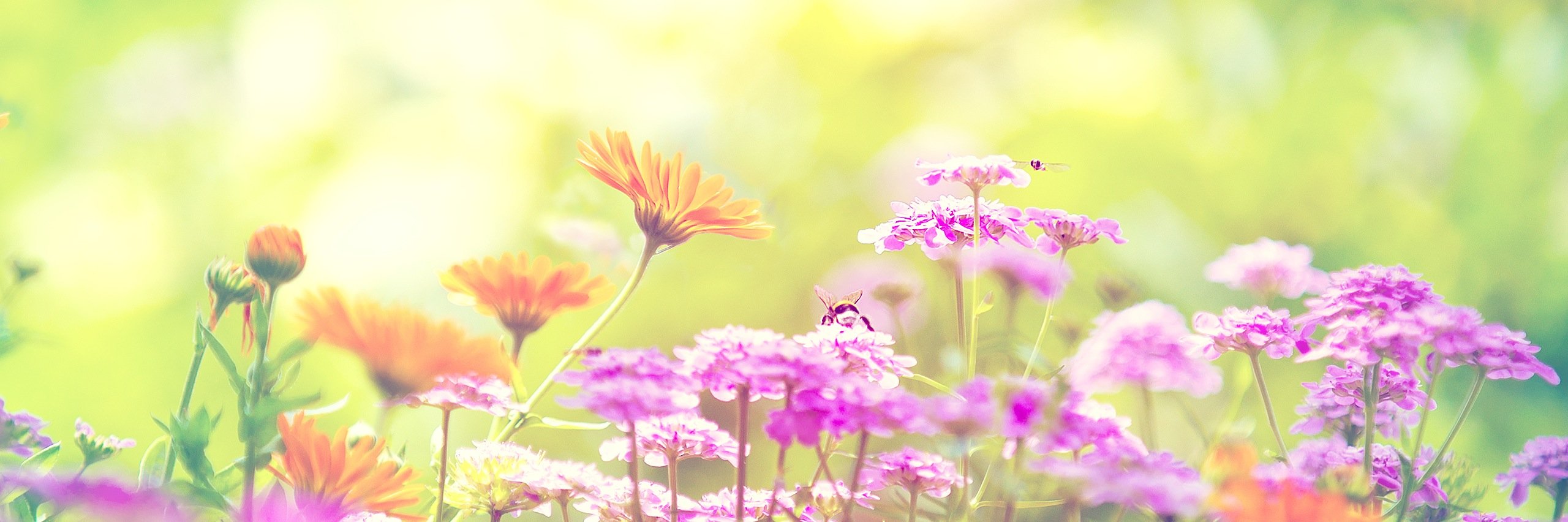 MsDonnamaria's profile banner image