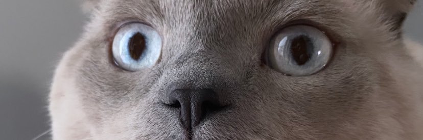 busrasayarrr's profile banner image
