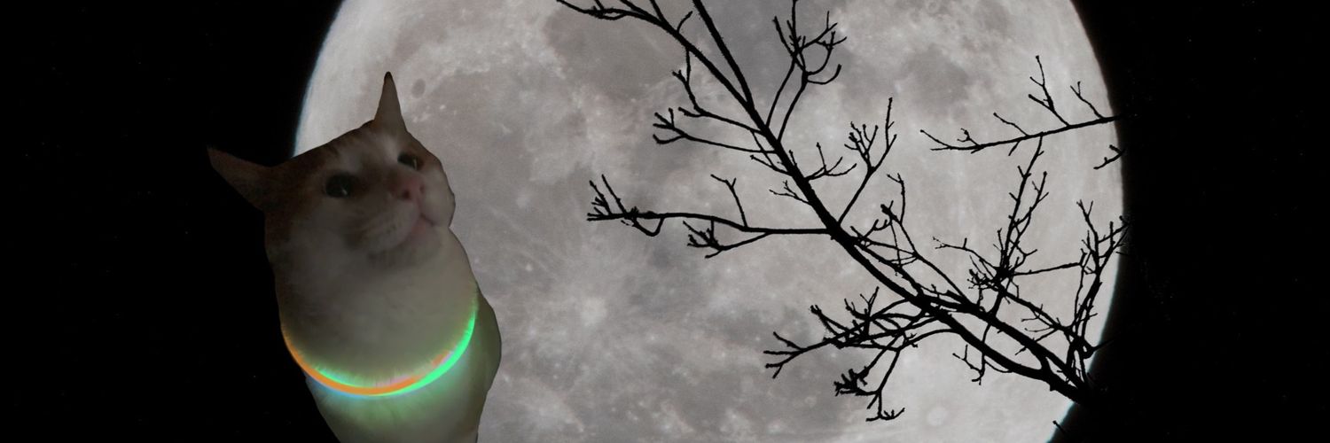 N3lm0's profile banner image