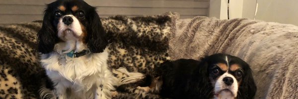 duncanfo Profile Banner