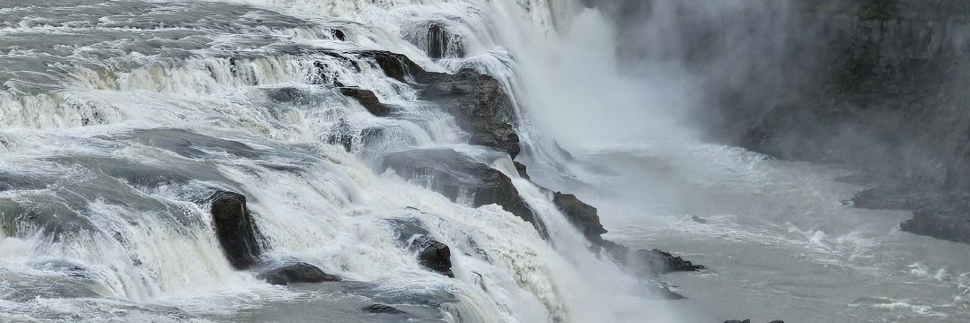 magdocoton's profile banner image