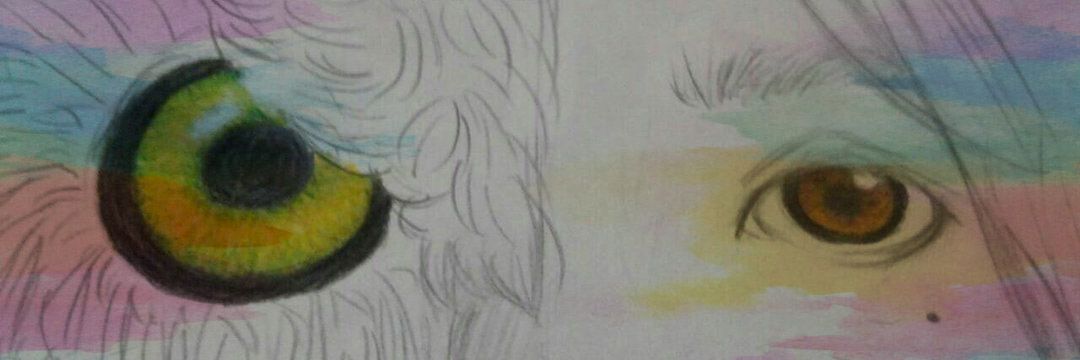 MathiasCROK's profile banner image