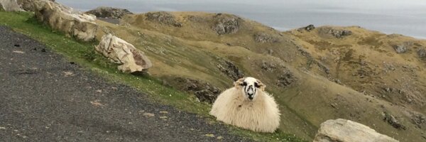 bmcatee1 Profile Banner