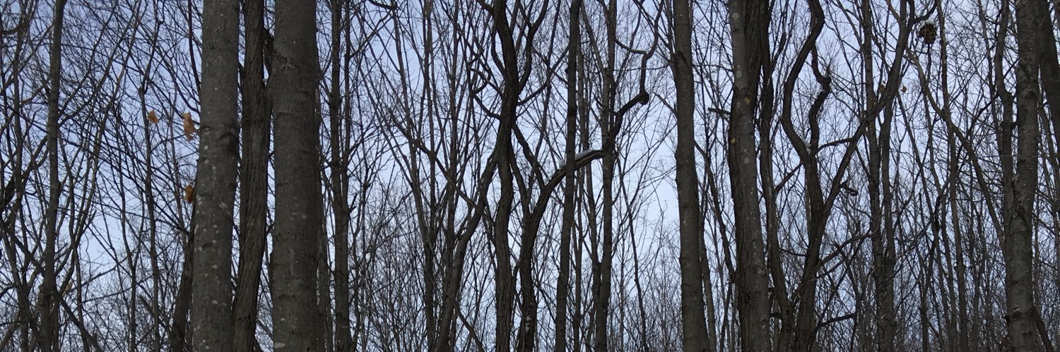 TCSpartan's profile banner image