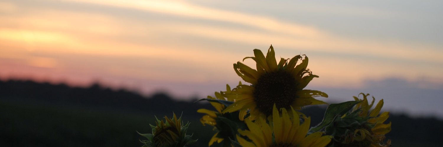 brookeglaserr's profile banner image