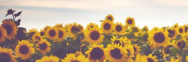 BrennXeneize's profile banner image